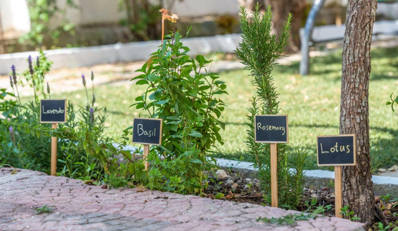 Villa Canella Ανω Βασιλικος Εξωτερικό φωτογραφία